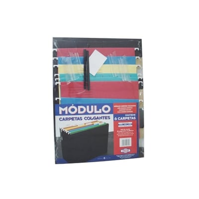 Cajas de Cartón con 6 Carpetas Colgantes Variadas