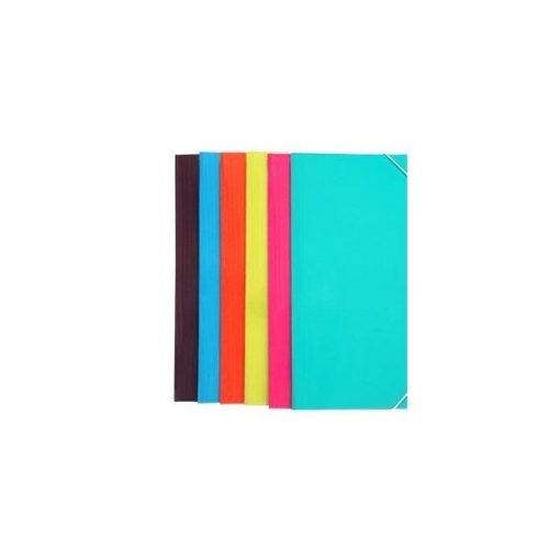 Capa em Cartolina com Elásticos A3