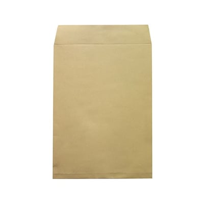 Envelope Saco Kraft C4 229X324mm Fole 50mm - 10un