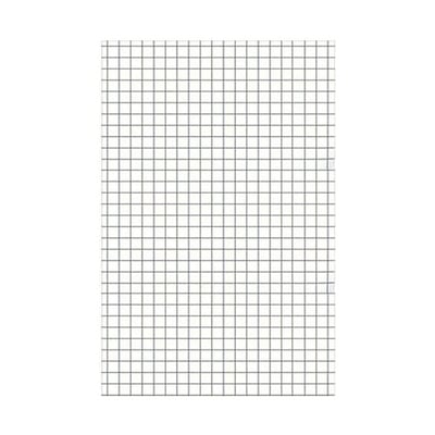 Recarga Papel A4 100g Cuadriculado - 100hojas