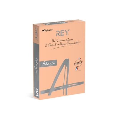 Papel Fotoc. Adagio A4 80gr Salmão 1x500 fls