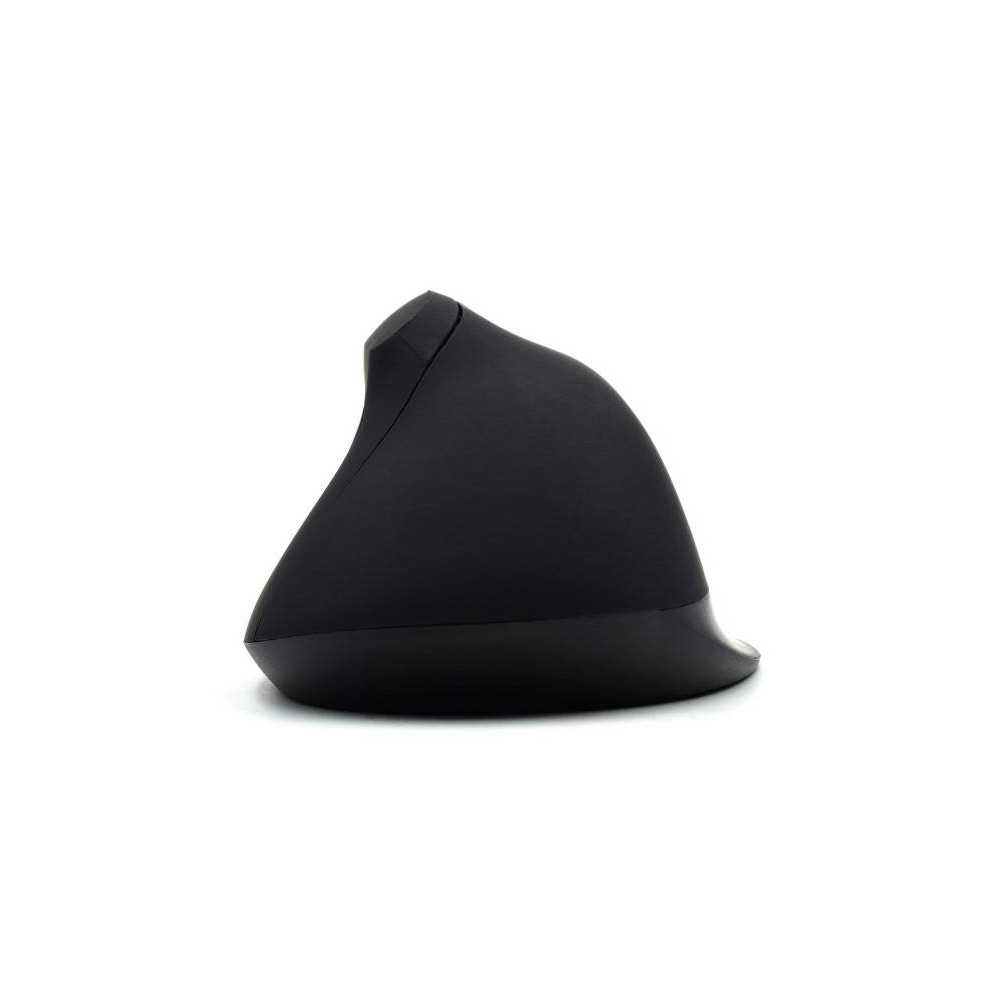 Rato Ergonómico Ewent Wireless