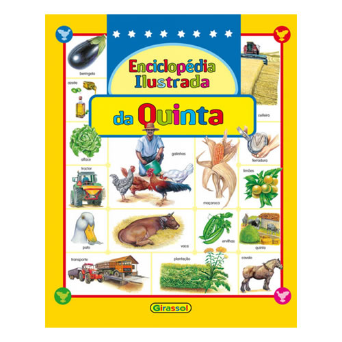 Livros Infantis - Enciclopédia Ilustrada da Quinta