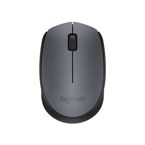 Rato Wireless Logitech M170