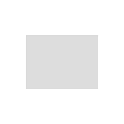 Cartulina 180gr 50x65cm Gris Claro - 1ud