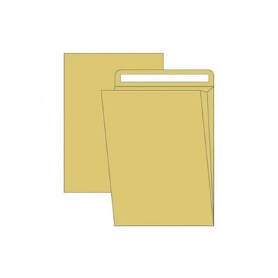 Sobres Saco Kraft c/Fuelle 250x353x35 Cx 100un
