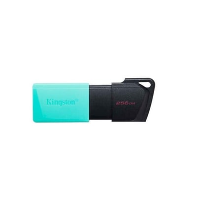 Pen Drive Kingston DataTraveler Exodia M 256GB