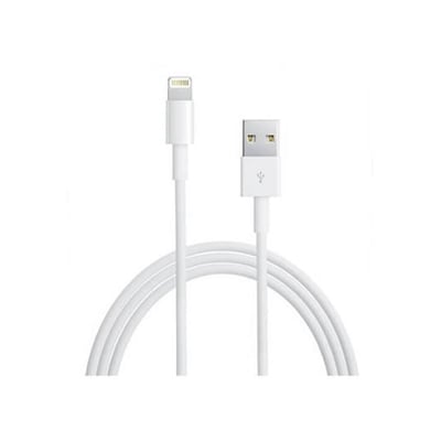 Cable Lightning - USB A 1m - Iphone / Ipad