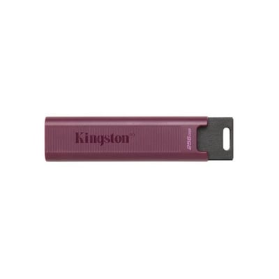 Pen Drive Kingston DataTraveler Max 256GB USB 3.2