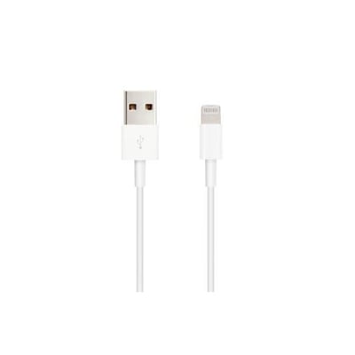 Cable Nanocable Lightning - USB A 2.0 1 mt