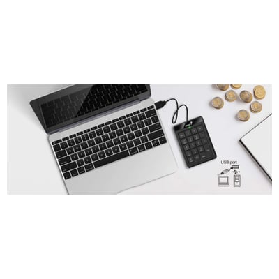 Teclado Genius numérico NumPad 110
